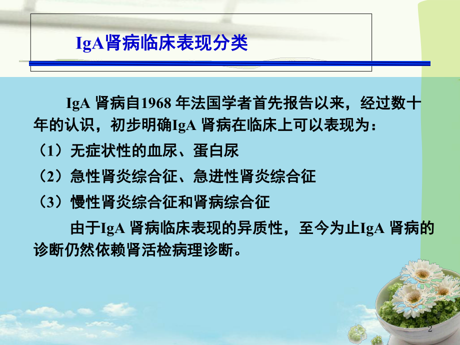 IgA肾病中医辨证分型的实践指南课件.ppt_第2页