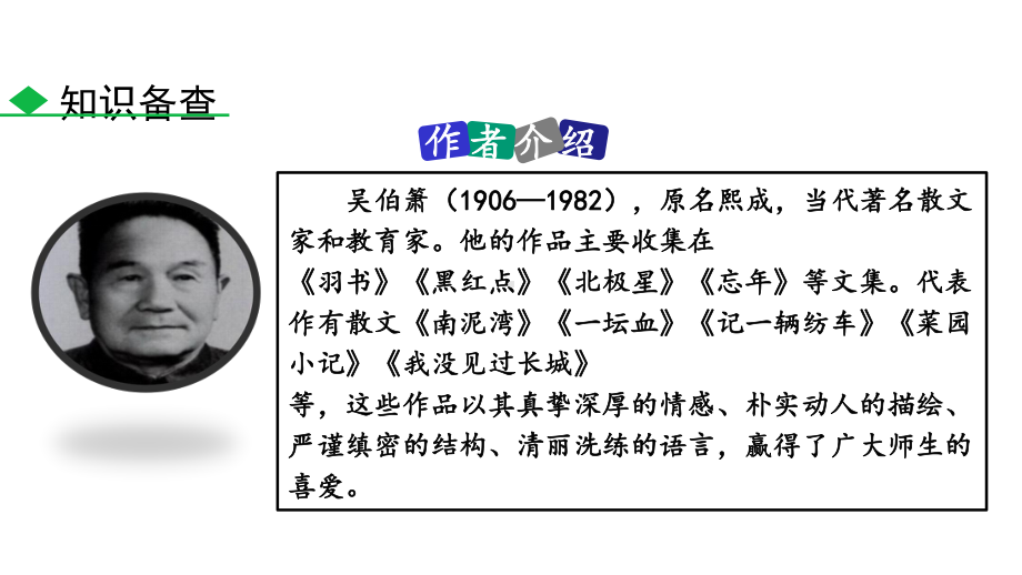 部编版八年级语文下册《灯笼》课件.pptx_第3页