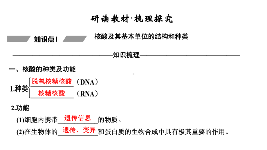 第5节-核酸是遗传信息的携带者课件.pptx_第2页