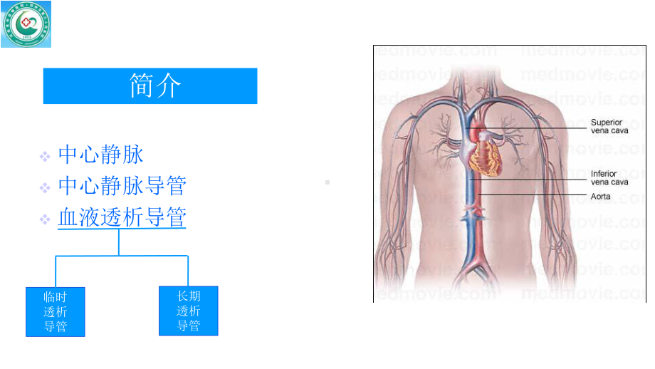 血液透析中心静脉导管课件.ppt_第3页