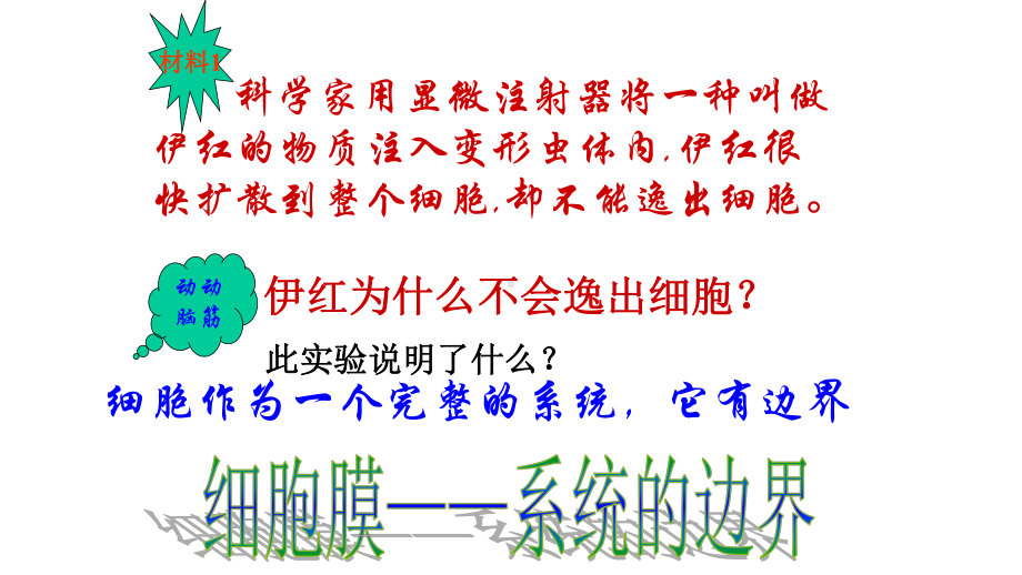 高考-生物一轮复习-细胞膜和细胞核-课件.pptx_第2页