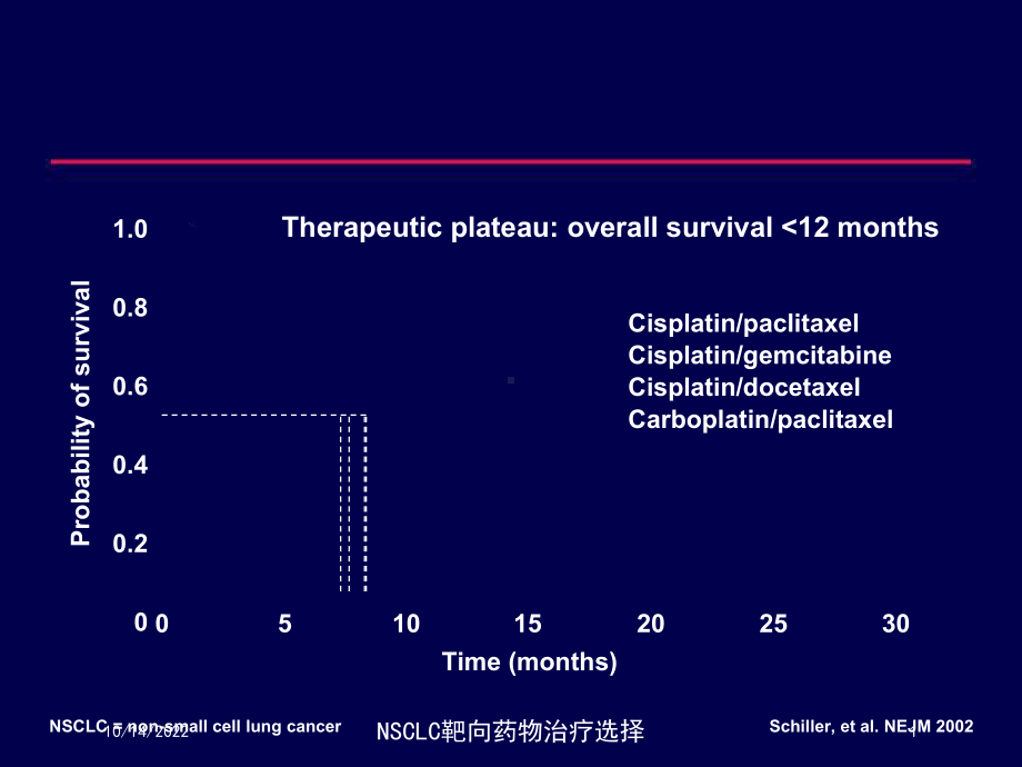 NSCLC靶向药物治疗选择课件.ppt_第1页