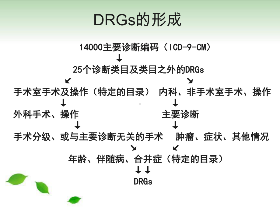 drgsdrgspps相关情况介绍疾病诊断与主要诊断的选择原则课件.ppt_第3页