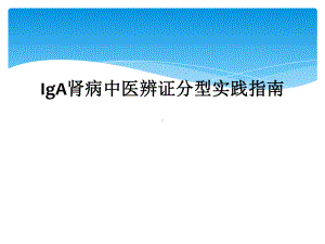 IgA肾病中医辨证分型实践指南课件.ppt