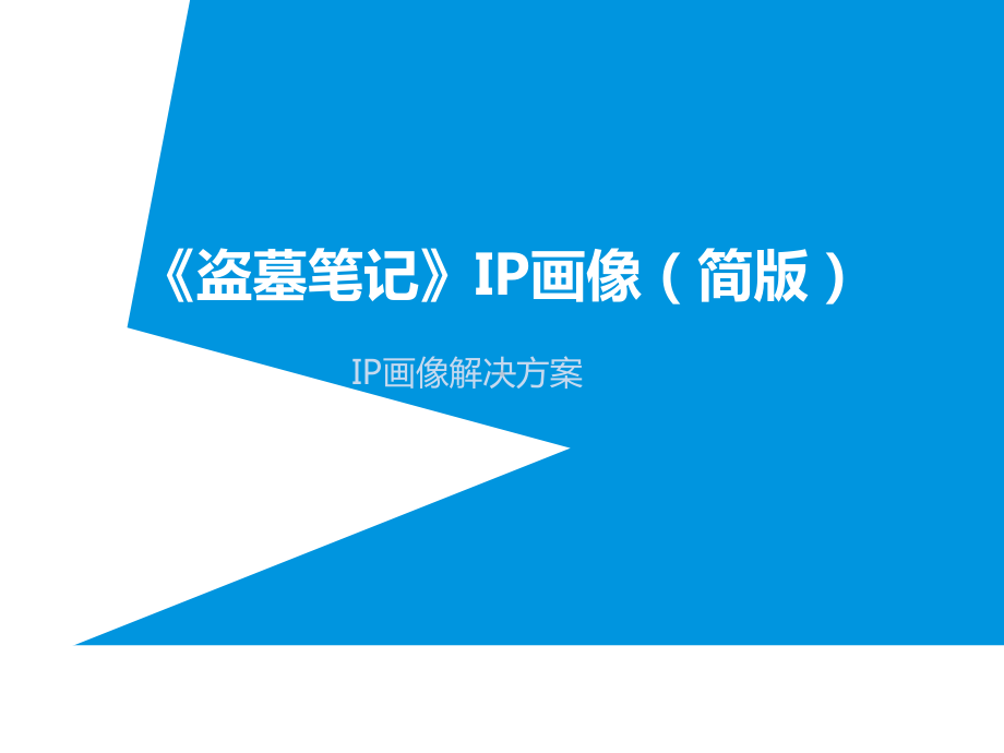 盗墓笔记-IP画像解决方案.ppt_第1页