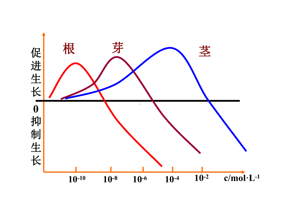 高中生物必修三植物的激素调节课件.ppt_第3页