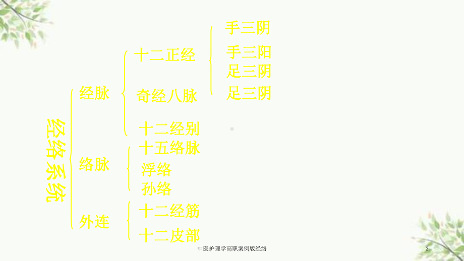 中医护理学高职案例版经络课件.ppt_第3页