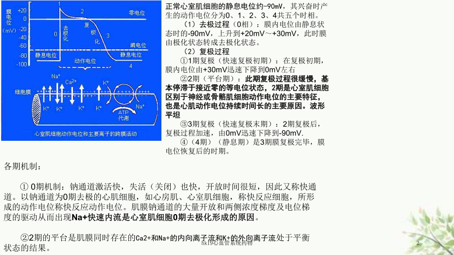 hk19心血管系统药物课件.ppt_第2页