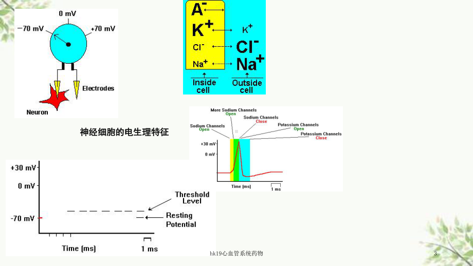 hk19心血管系统药物课件.ppt_第3页