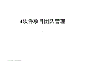 软件项目团队管理课件.ppt