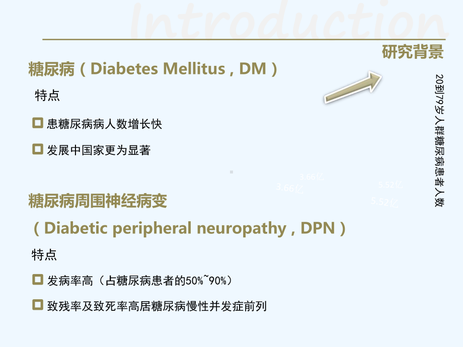 中医内外兼治法治疗DPN课件.ppt_第3页