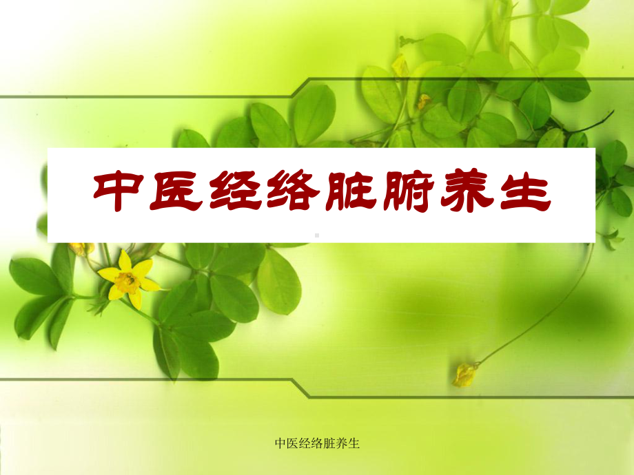 中医经络脏养生课件.ppt_第1页