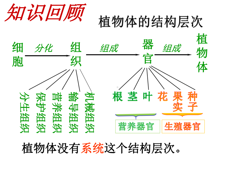 第四节--单细胞生物(共29张)课件.ppt_第2页