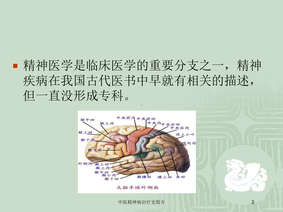 中医精神病治疗史简介培训课件.ppt_第2页