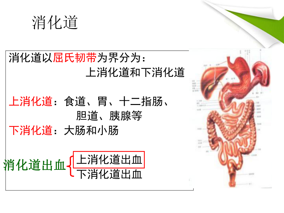 一例食管胃底静脉曲张患者的药学监护课件.ppt_第3页