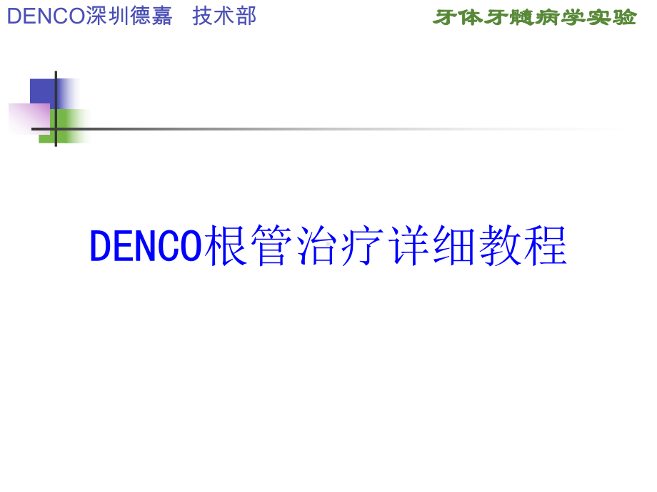 DENCO根管治疗详细教程培训课件.ppt_第1页