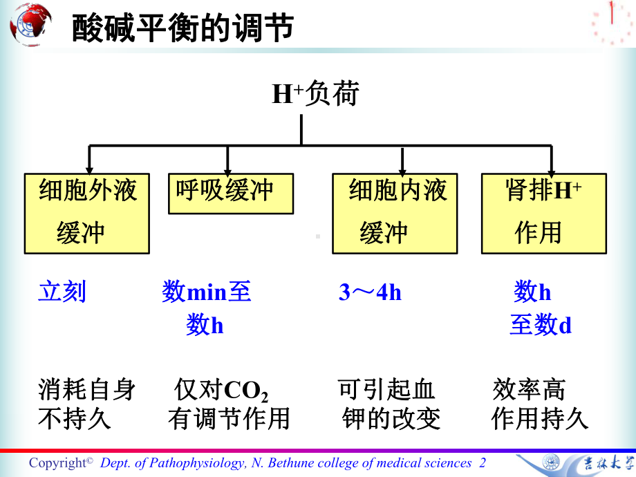 七科联考病理生理学第四章-酸碱平衡紊乱1课件.ppt_第2页