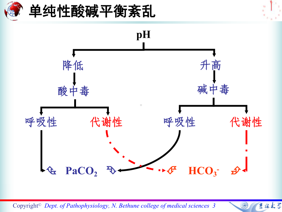 七科联考病理生理学第四章-酸碱平衡紊乱1课件.ppt_第3页