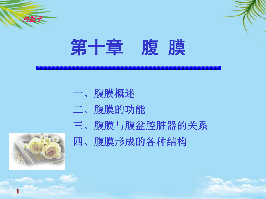 《正常人体解剖学》腹膜课件.ppt_第1页