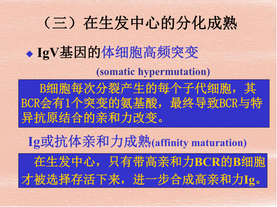 《免疫应答》教案模板课件.ppt_第3页