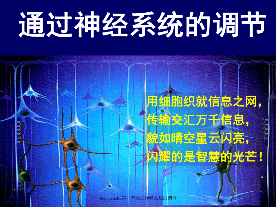 shengwuzhu第一节通过神经系统的调节课件.ppt_第1页