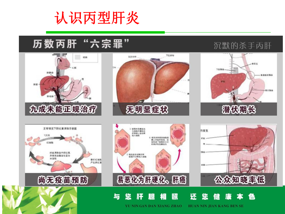 丙型肝炎防治知识讲座课件.ppt_第2页