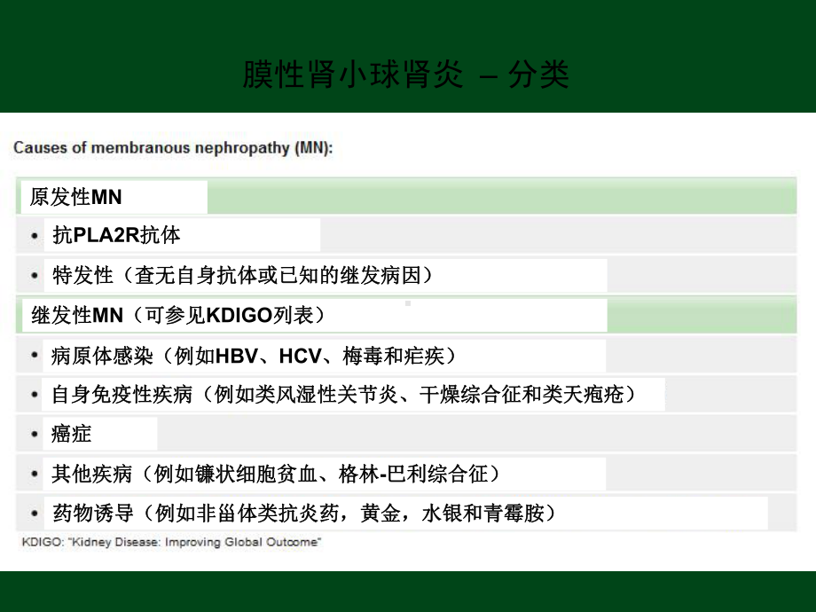 PLA2R在特发性膜性肾病诊断中的作用课件.pptx_第3页