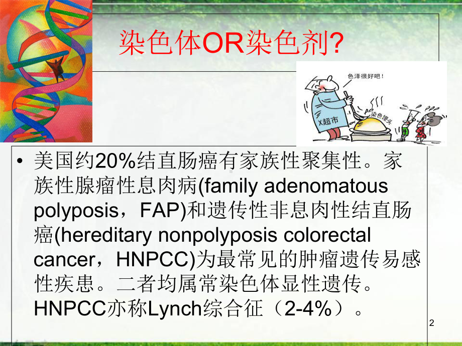 Lynch综合征教学课件.ppt_第2页