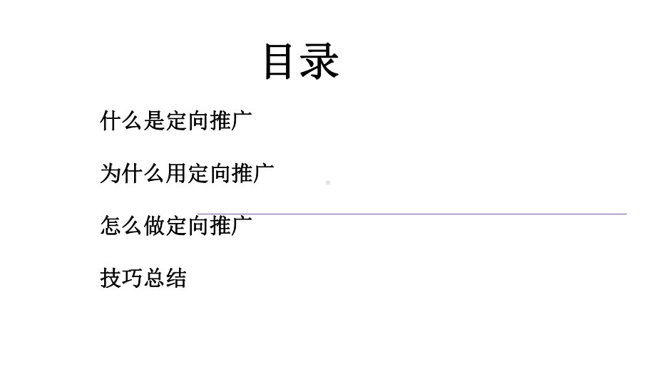 直通车定向推广技巧-共42张课件.ppt_第2页