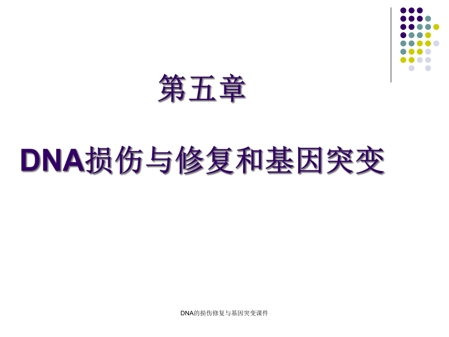 DNA的损伤修复与基因突变课件.ppt_第1页