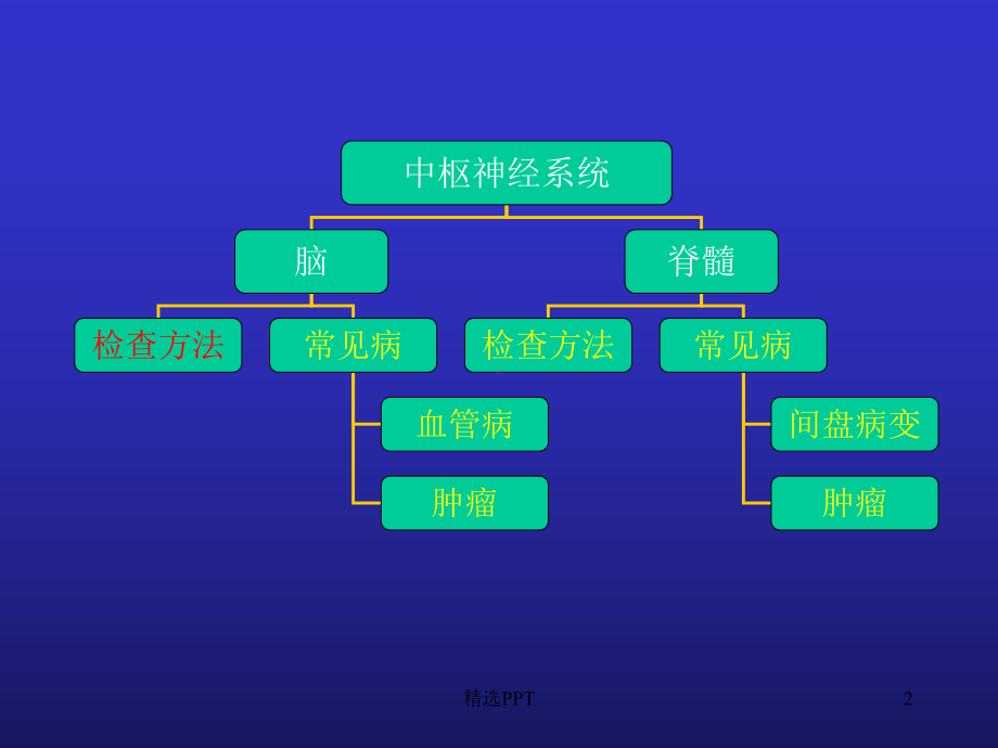 中枢神经系统的影像学诊断课件.ppt_第2页