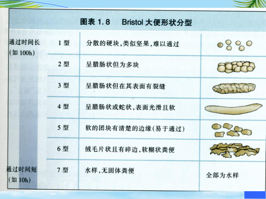 中医内科学便秘课件.ppt_第3页