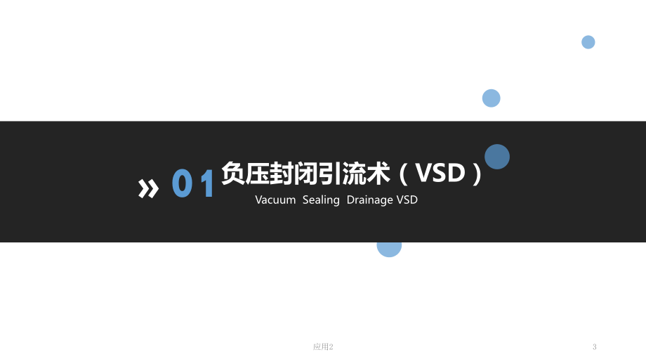 VSD在压疮治疗中的应用(专业医学)课件.pptx_第3页