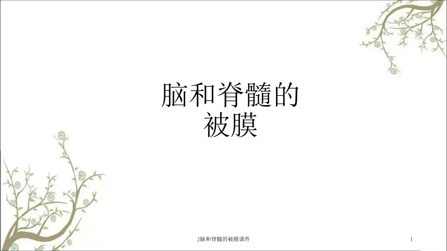 J脑和脊髓的被膜课件.ppt_第1页