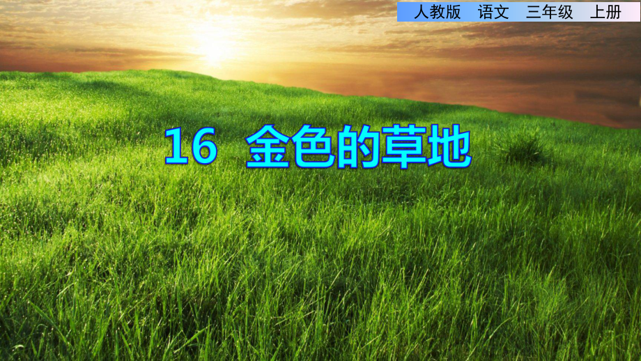 部编人教版小学三年级语文上册《金色的草地》优秀课件.ppt_第1页