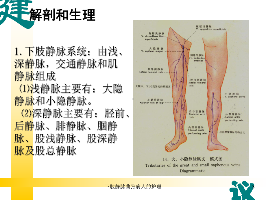 下肢静脉曲张病人的护理培训课件.ppt_第3页