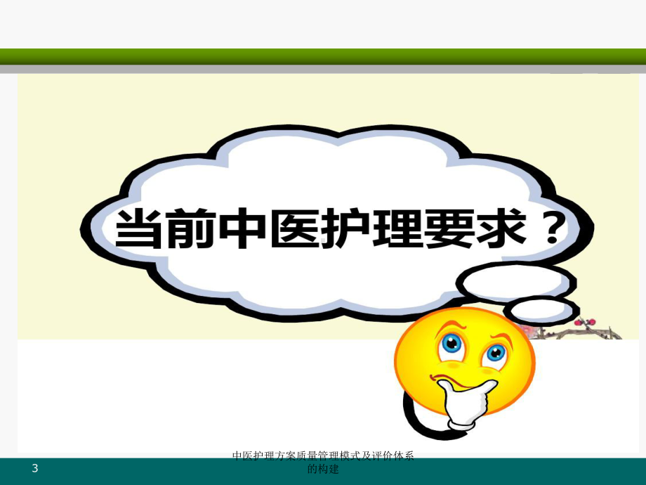 中医护理方案质量管理模式及评价体系的构建培训课件.ppt_第3页