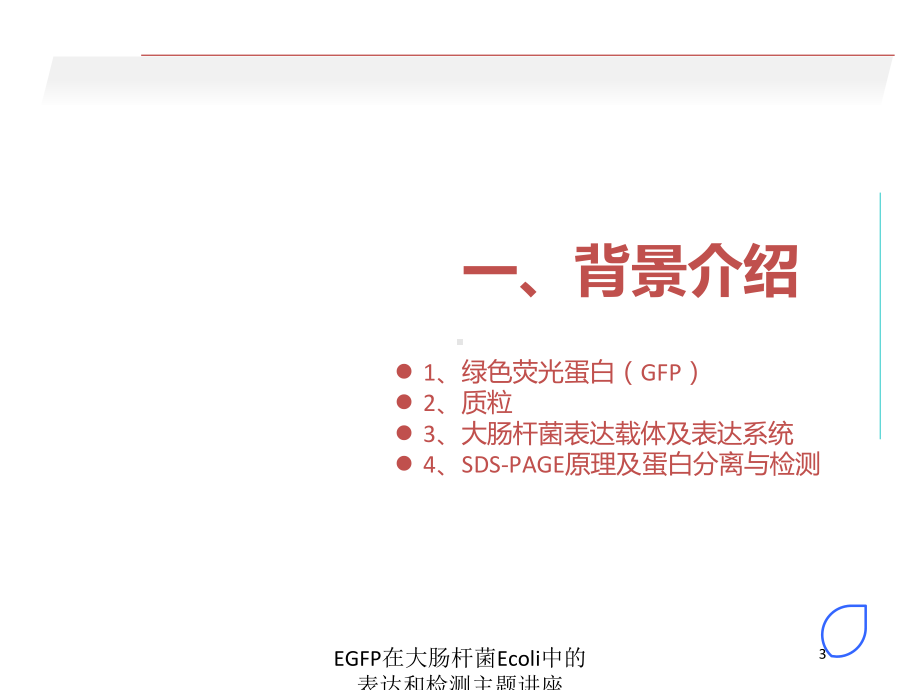 EGFP在大肠杆菌Ecoli中的表达和检测主题讲座培训课件.ppt_第3页