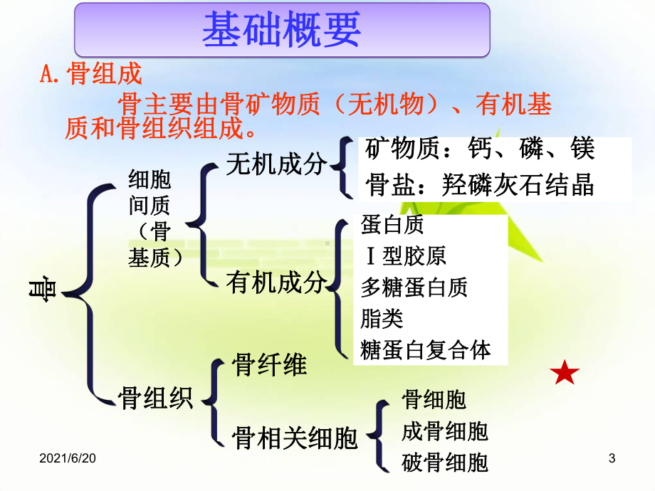 （教学课件）第十二章-骨代谢异常的生物化学诊断.ppt_第3页