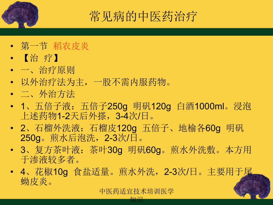 中医药适宜技术培训医学知识培训课件.ppt_第2页