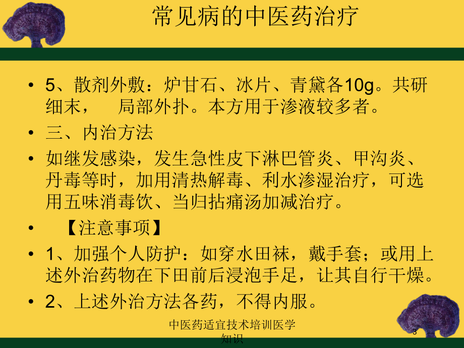 中医药适宜技术培训医学知识培训课件.ppt_第3页