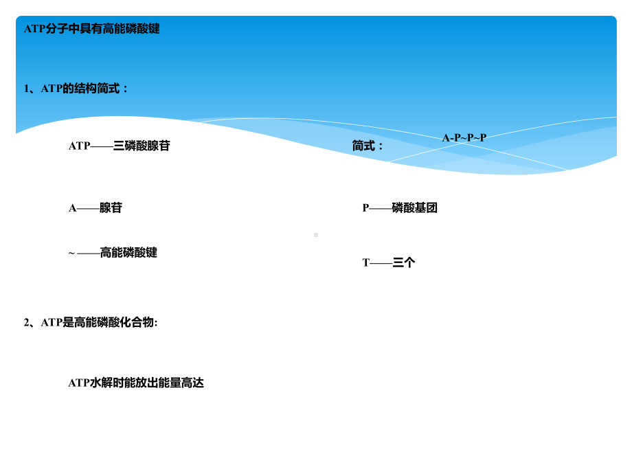 ATP-ATP主要来源细胞呼吸共张课件.ppt_第2页