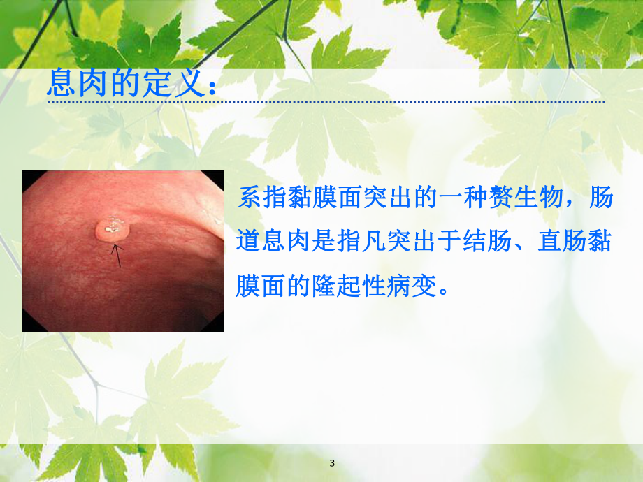 EMR治疗肠道息肉课件-2.ppt_第3页