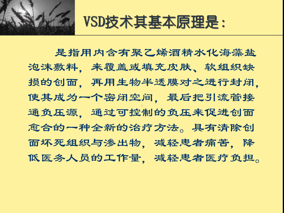 VSD负压封闭引流术护理课件.ppt_第2页