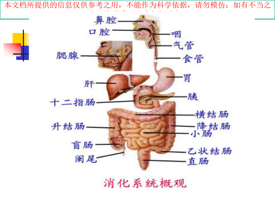 上消化道出血临床指南培训课件.ppt_第3页