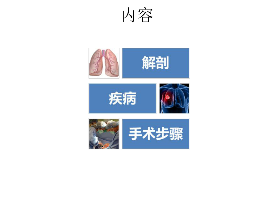 胸腔镜肺楔形切除术课件.ppt_第2页