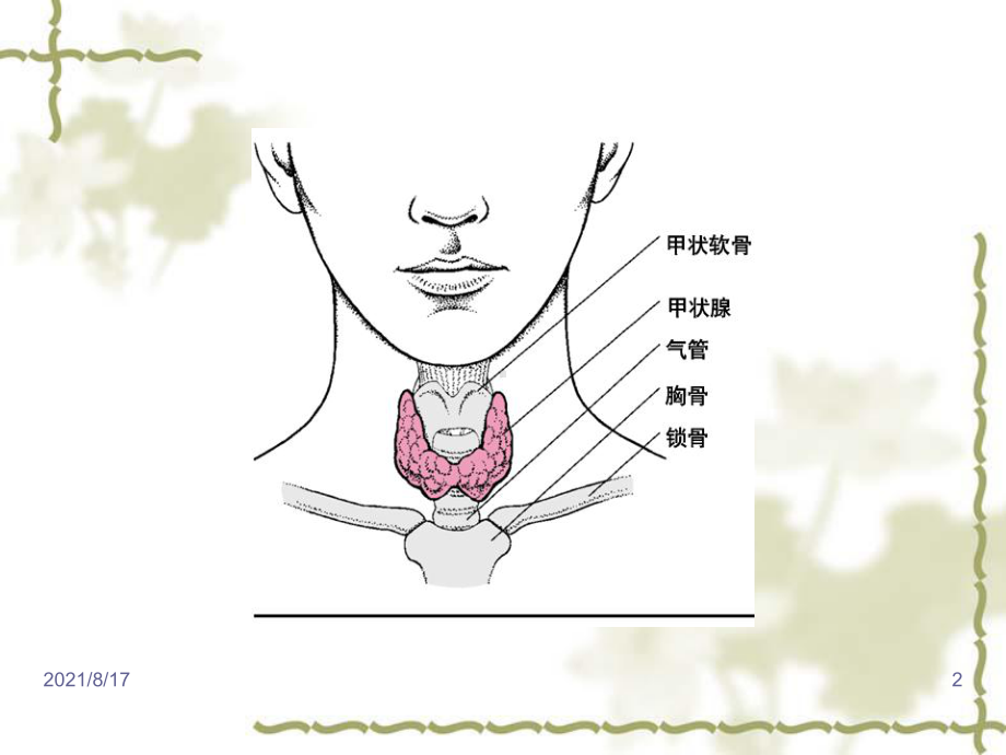 《甲状腺腔镜手术》课件.ppt_第2页