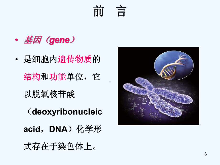 （双语）医学遗传学第二章人类基因2课件.ppt_第3页