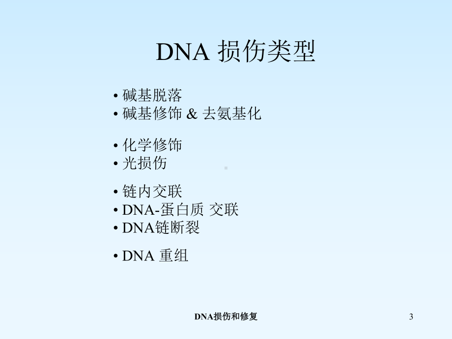 DNA损伤和修复培训课件.ppt_第3页