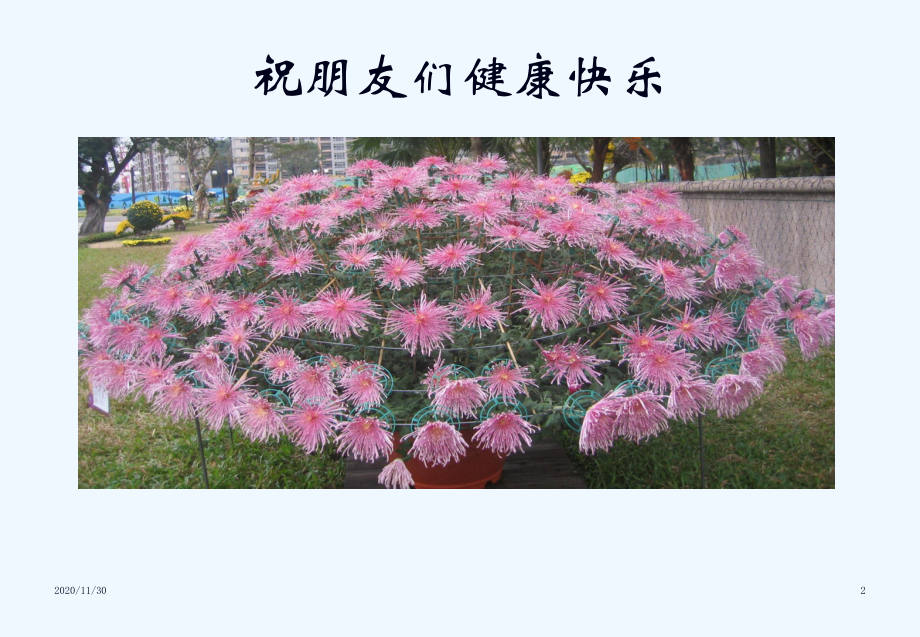 中医药治病的特色和优势课件.ppt_第2页